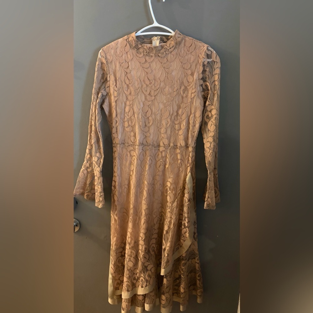 Emay shimmery lace line nude bell sleeves‎ midi romantic dress Lace Tan Dress